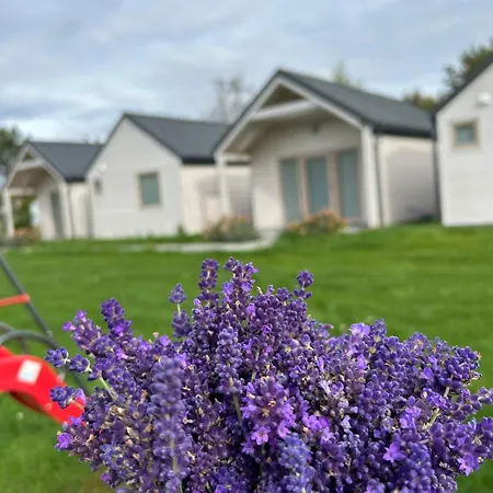 Zurawisko - Letniskowe بيت للعطل